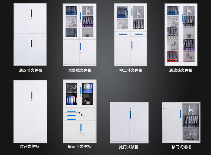海發(fā)HF-GGLS系列文件柜，鋼制文件柜，辦公文件柜